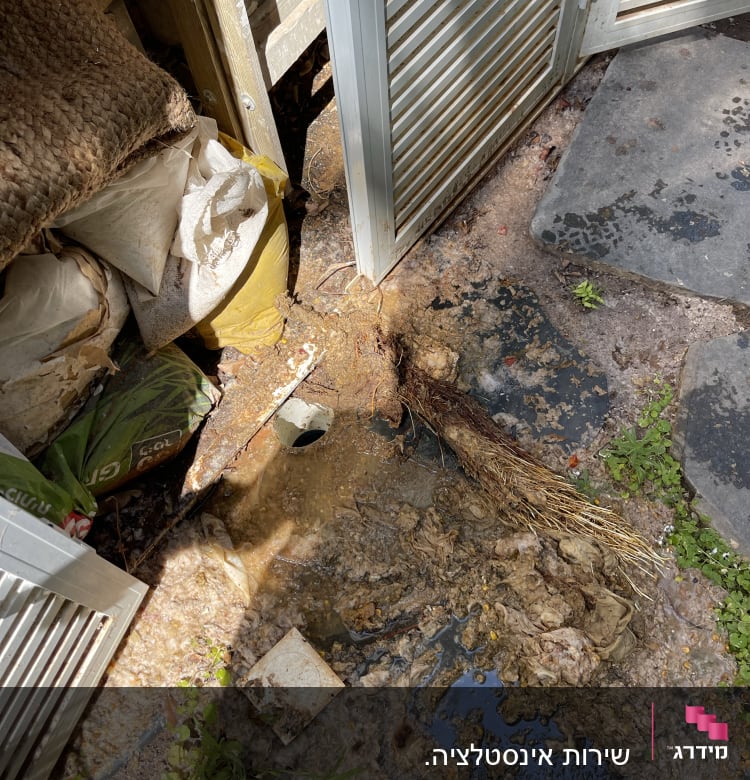 ביוב סתום עם שורשים ופסולת רטובה